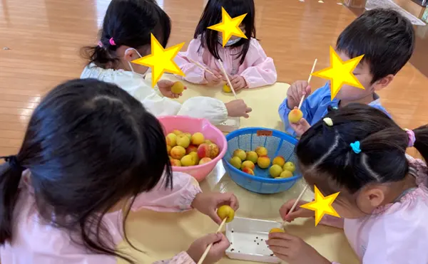 豊島区の雑司ヶ谷幼稚園｜文京区 新宿区の梅干し作り