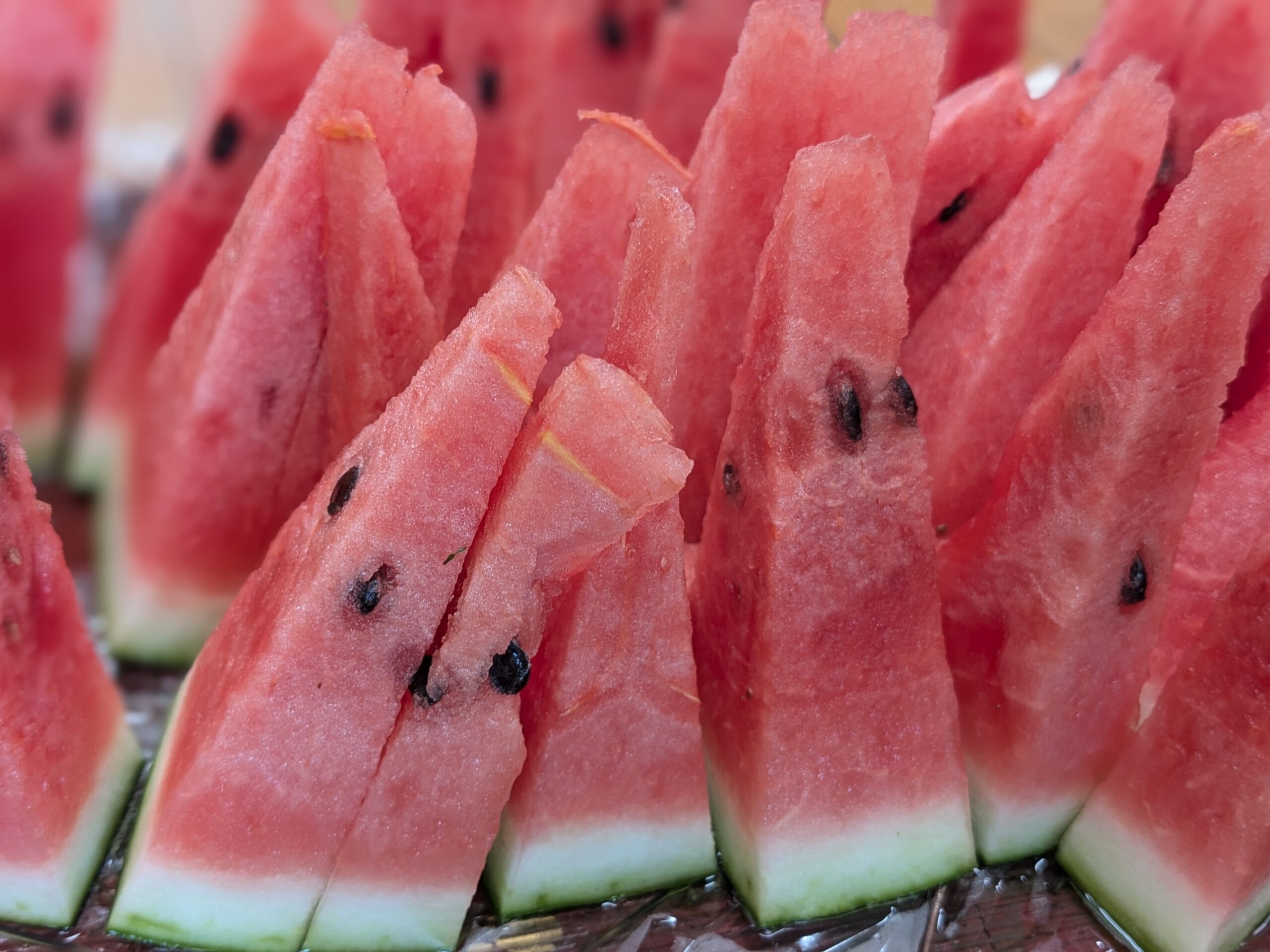 豊島区の雑司ヶ谷幼稚園の2024年9月の様子