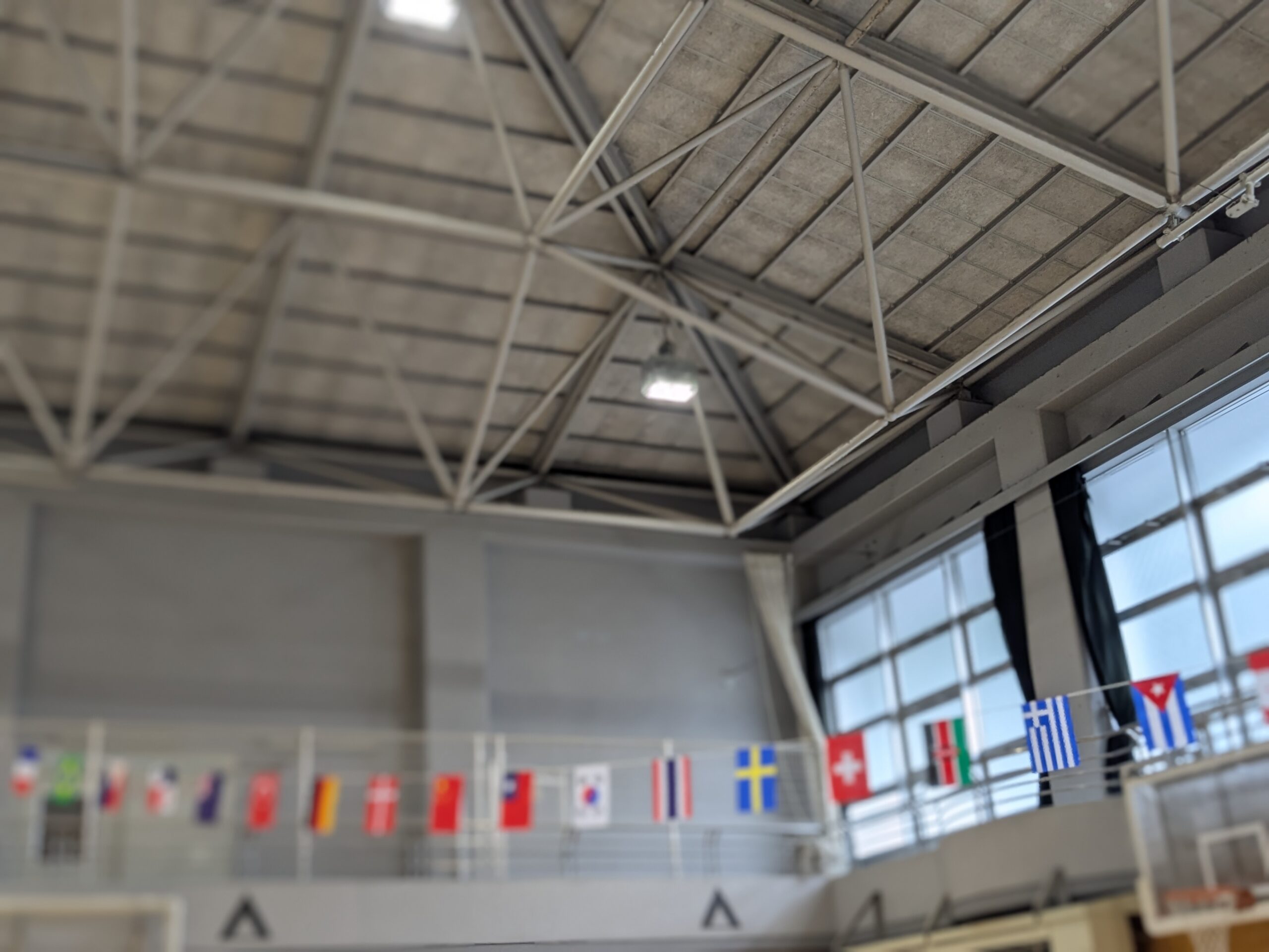 豊島区の雑司ヶ谷幼稚園の2025年6月の様子