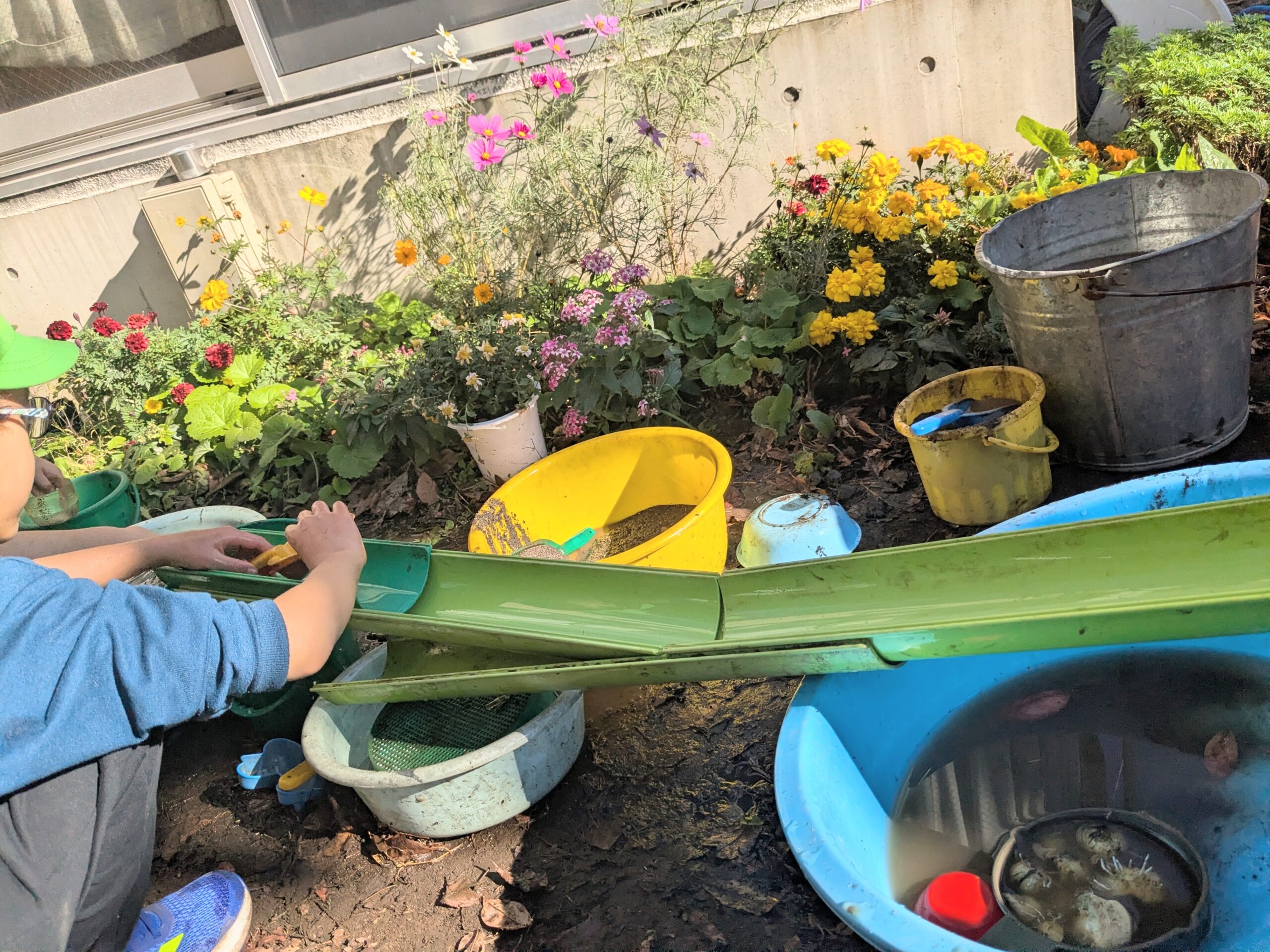 豊島区の雑司ヶ谷幼稚園の2026年1月の様子