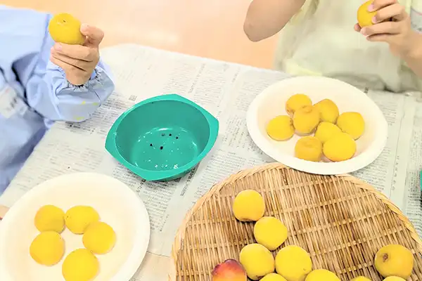 豊島区の雑司ヶ谷幼稚園の2026年6月5日の様子