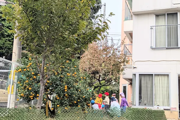 豊島区の雑司ヶ谷幼稚園の2025年11月06日の様子